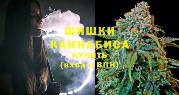 шишки Алексеевка